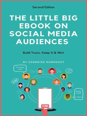 cover image of The Little Big eBook on Social Media Audiences